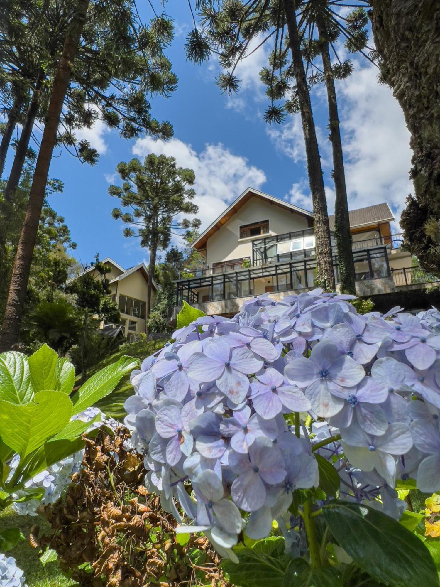 Araucaria Lodge Campos do Jordão Exterior foto